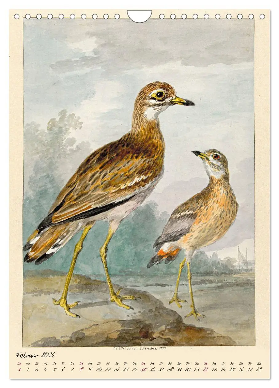 Bild: 9783516393286 | Aert Schouman. VÖGEL (Wandkalender 2026 DIN A4 hoch), CALVENDO...