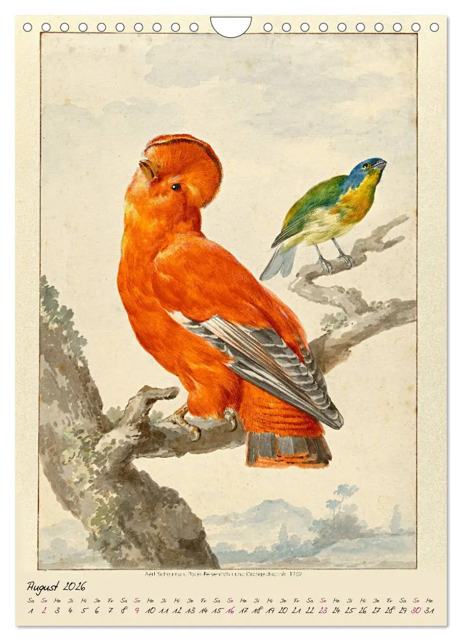 Bild: 9783516393286 | Aert Schouman. VÖGEL (Wandkalender 2026 DIN A4 hoch), CALVENDO...