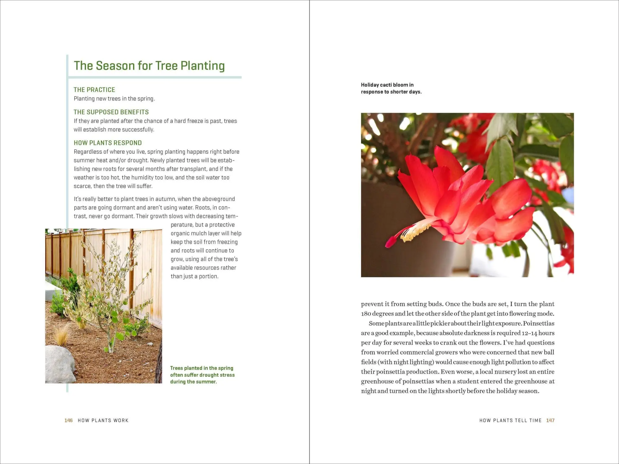 Bild: 9781604693386 | How Plants Work | The Science Behind the Amazing Things Plants Do