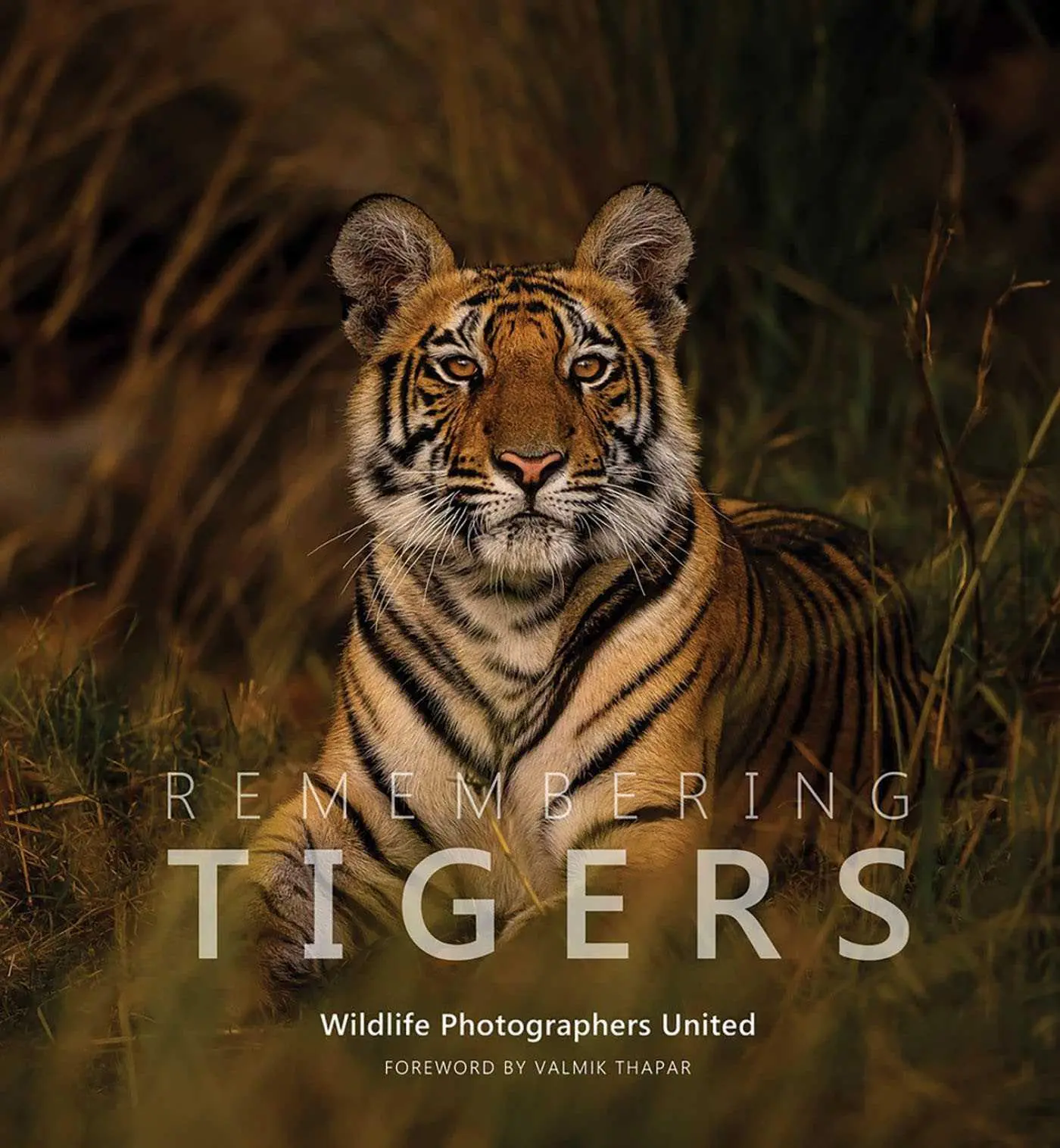 Cover: 9781999643386 | Remembering Tigers | Buch | Remembering Wildlife | Englisch | 2024