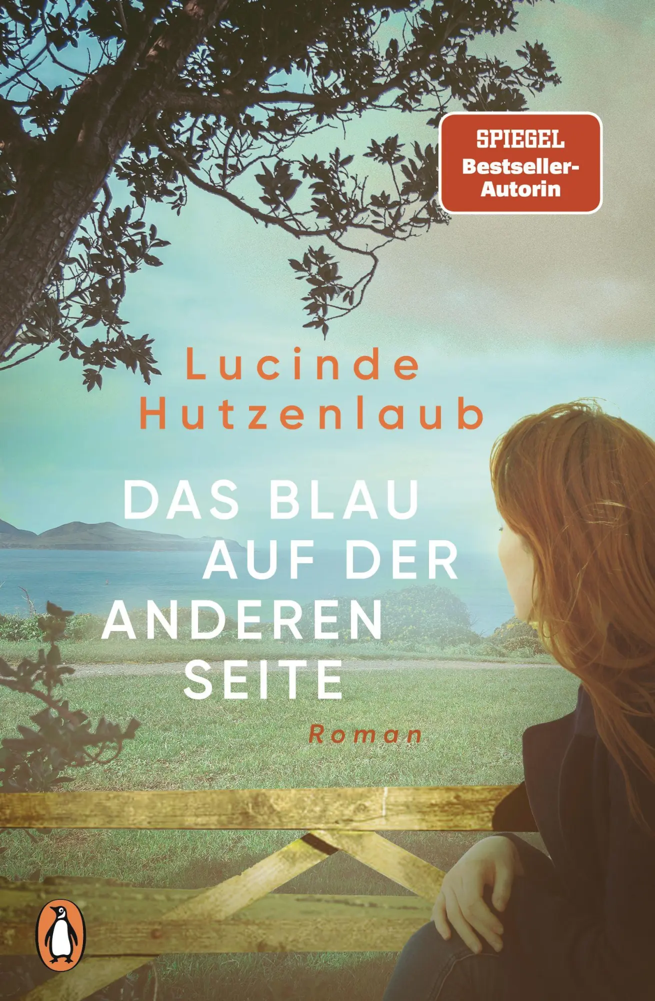 Cover: 9783328113386 | Das Blau auf der anderen Seite | Lucinde Hutzenlaub | Taschenbuch
