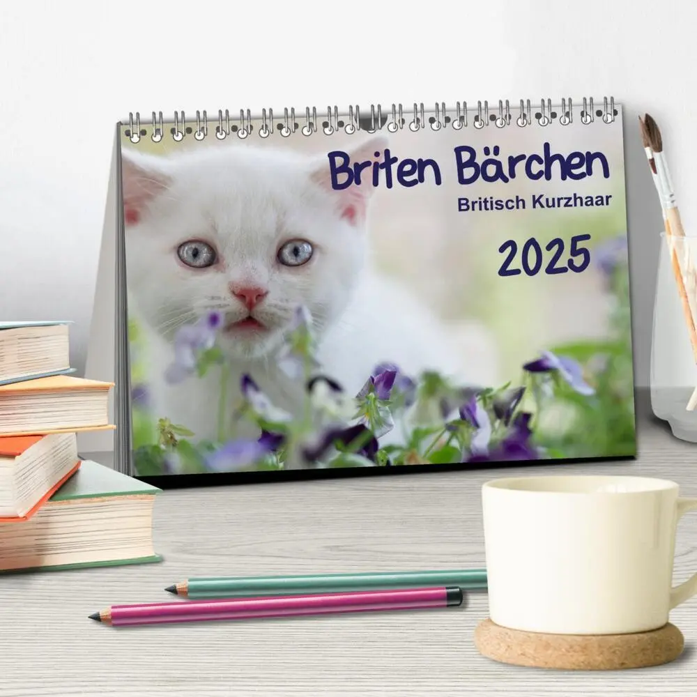 Bild: 9783435723386 | Briten Bärchen - Britsch Kurzhaar 2025 (Tischkalender 2025 DIN A5...
