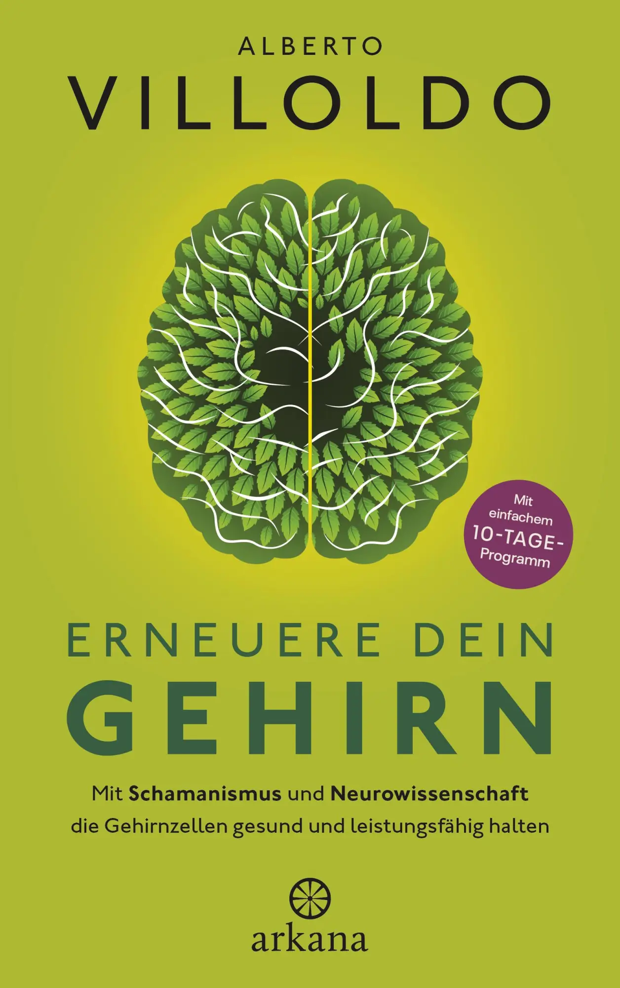 Cover: 9783442343386 | Erneuere dein Gehirn | Alberto Villoldo | Buch | 304 S. | Deutsch