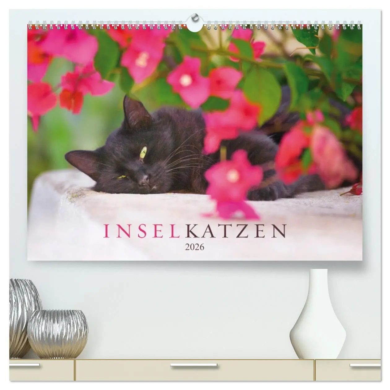 Cover: 9783457423486 | Inselkatzen (hochwertiger Premium Wandkalender 2026 DIN A2 quer),...