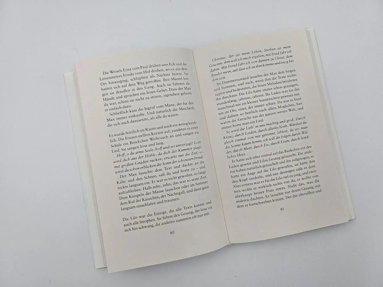 Bild: 9783492073486 | Im Schnee | Roman 'Ein großes kleines Buch.' BR | Tommie Goerz | Buch