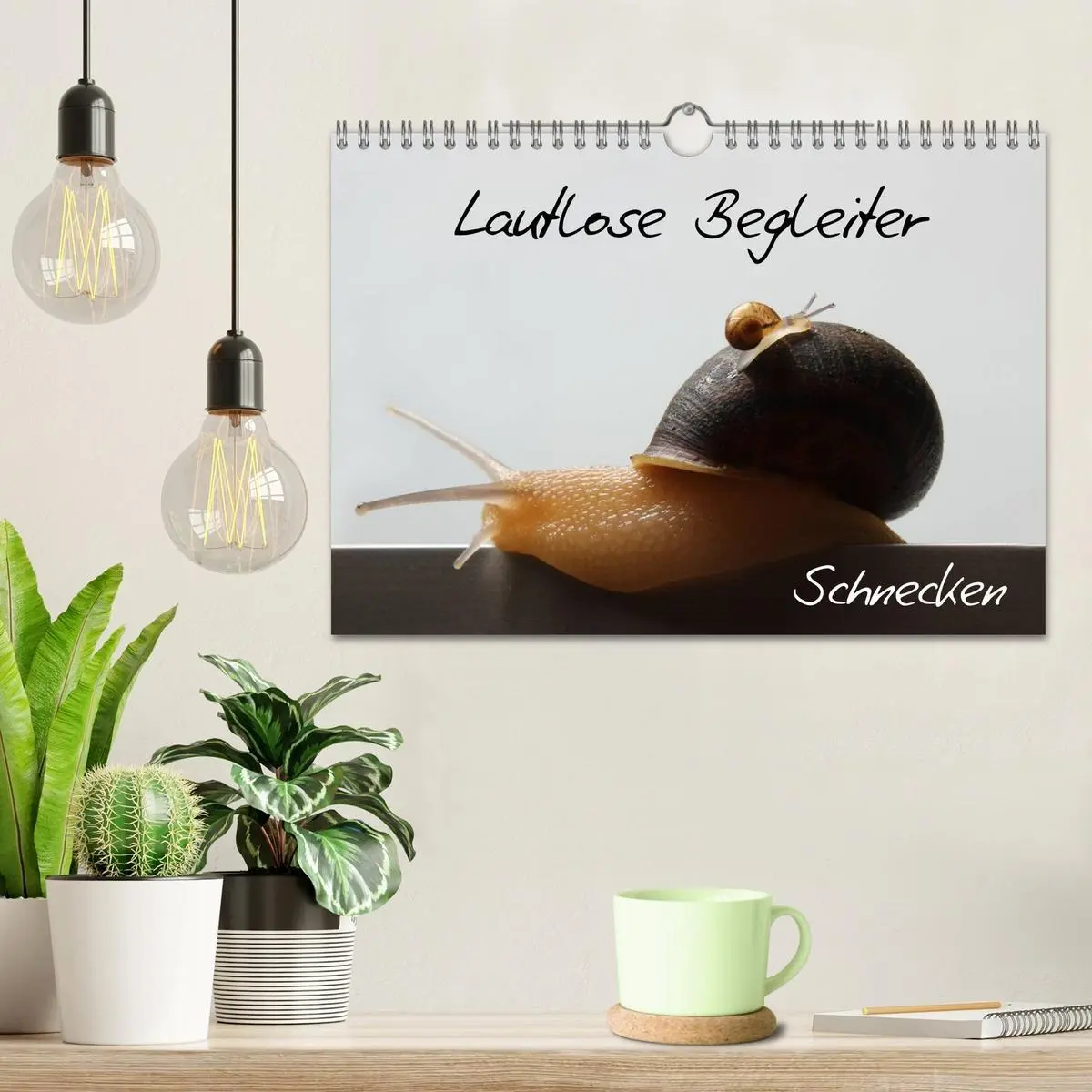 Bild: 9783516133486 | Lautlose Begleiter - Schnecken (Wandkalender 2026 DIN A4 quer),...