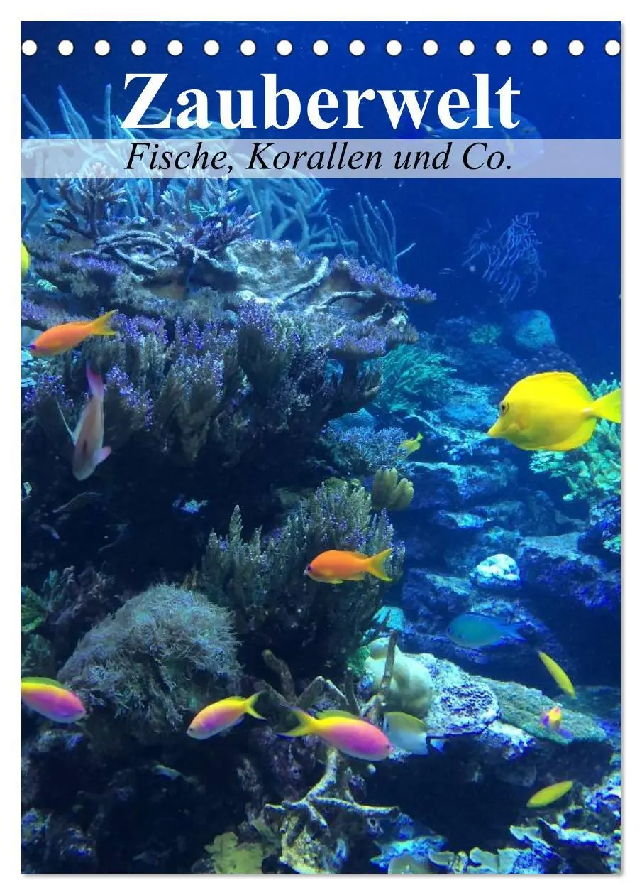 Cover: 9783516443486 | Zauberwelt. Fische, Korallen und Co. (Tischkalender 2026 DIN A5...