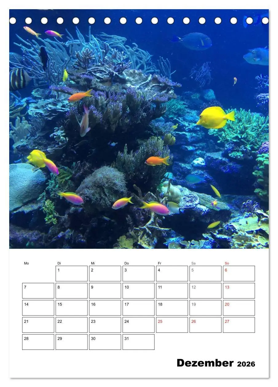 Bild: 9783516443486 | Zauberwelt. Fische, Korallen und Co. (Tischkalender 2026 DIN A5...