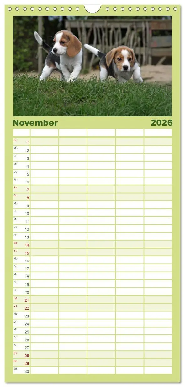 Bild: 9783516513486 | Familienplaner 2026 - Der Hundewelpen-Geburtstagskalender mit 5...