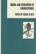 Cover: 9780231063586 | Origin and Evolution of Gymnosperms | C Beck | Buch | Englisch | 1988