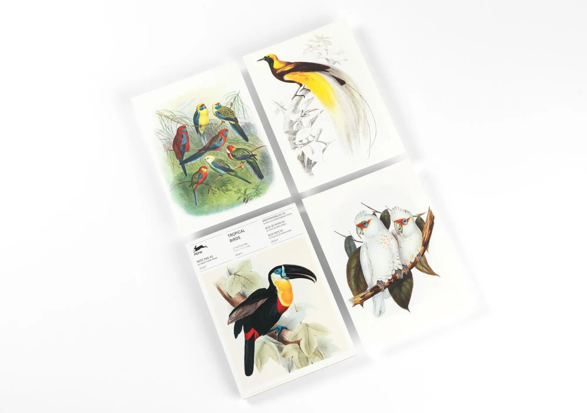 Bild: 9789460093586 | Tropical Birds | Writing Paper &amp; Note Pad A5 | Pepin Van Roojen | 2025