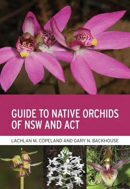 Cover: 9781486313686 | Guide to Native Orchids of Nsw and ACT | Lachlan M Copeland (u. a.)