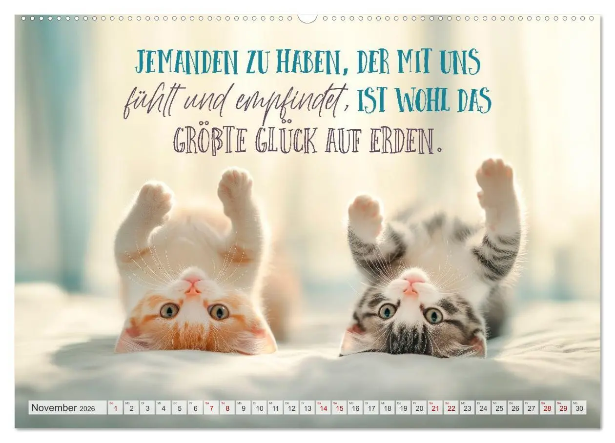 Bild: 9783516593686 | SEELENZEIT Ein Jahr voller Achtsamkeit (Wandkalender 2026 DIN A2...