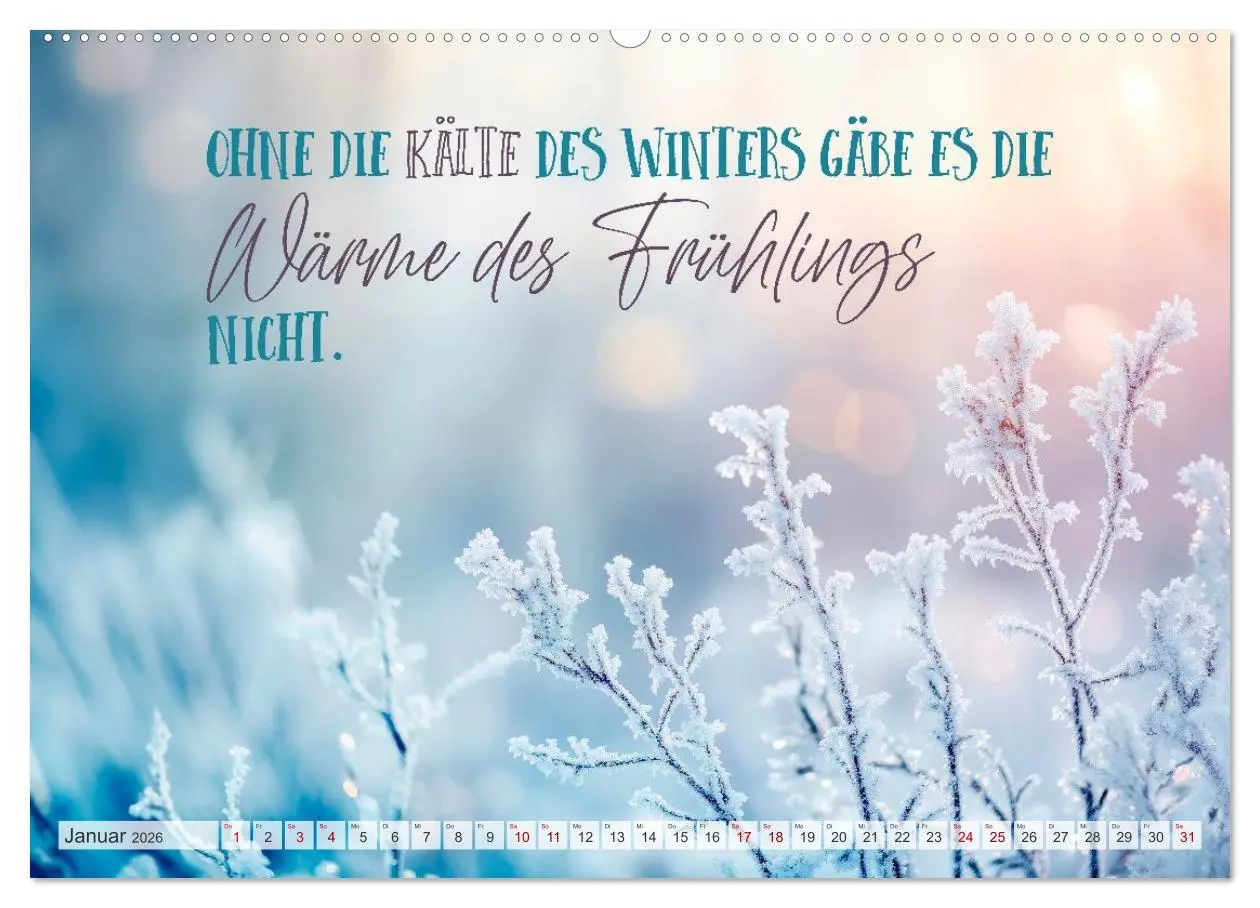 Bild: 9783516593686 | SEELENZEIT Ein Jahr voller Achtsamkeit (Wandkalender 2026 DIN A2...