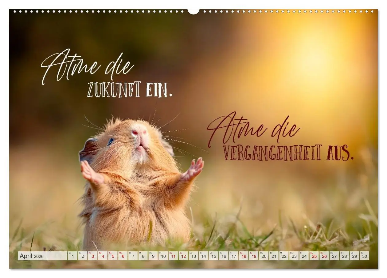 Bild: 9783516593686 | SEELENZEIT Ein Jahr voller Achtsamkeit (Wandkalender 2026 DIN A2...