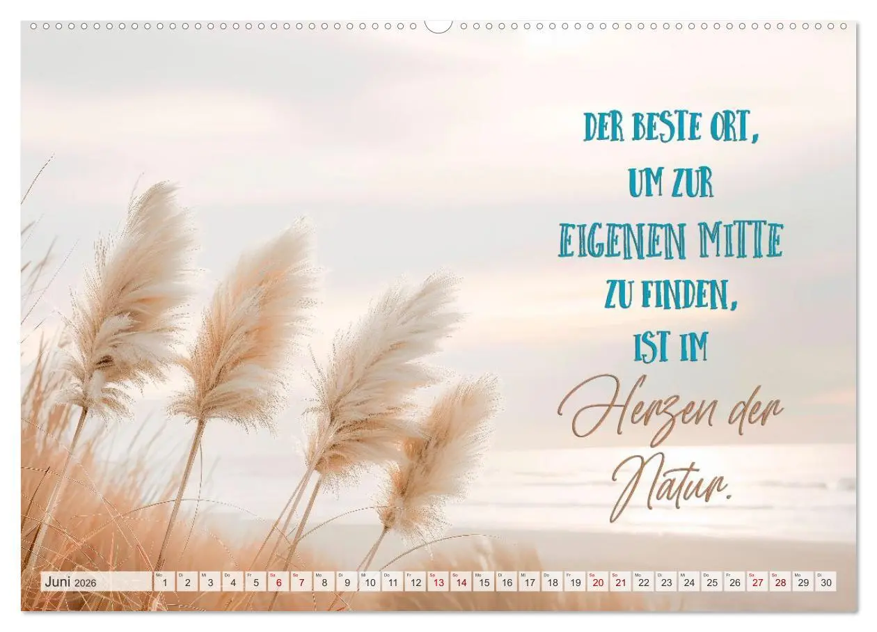 Bild: 9783516593686 | SEELENZEIT Ein Jahr voller Achtsamkeit (Wandkalender 2026 DIN A2...