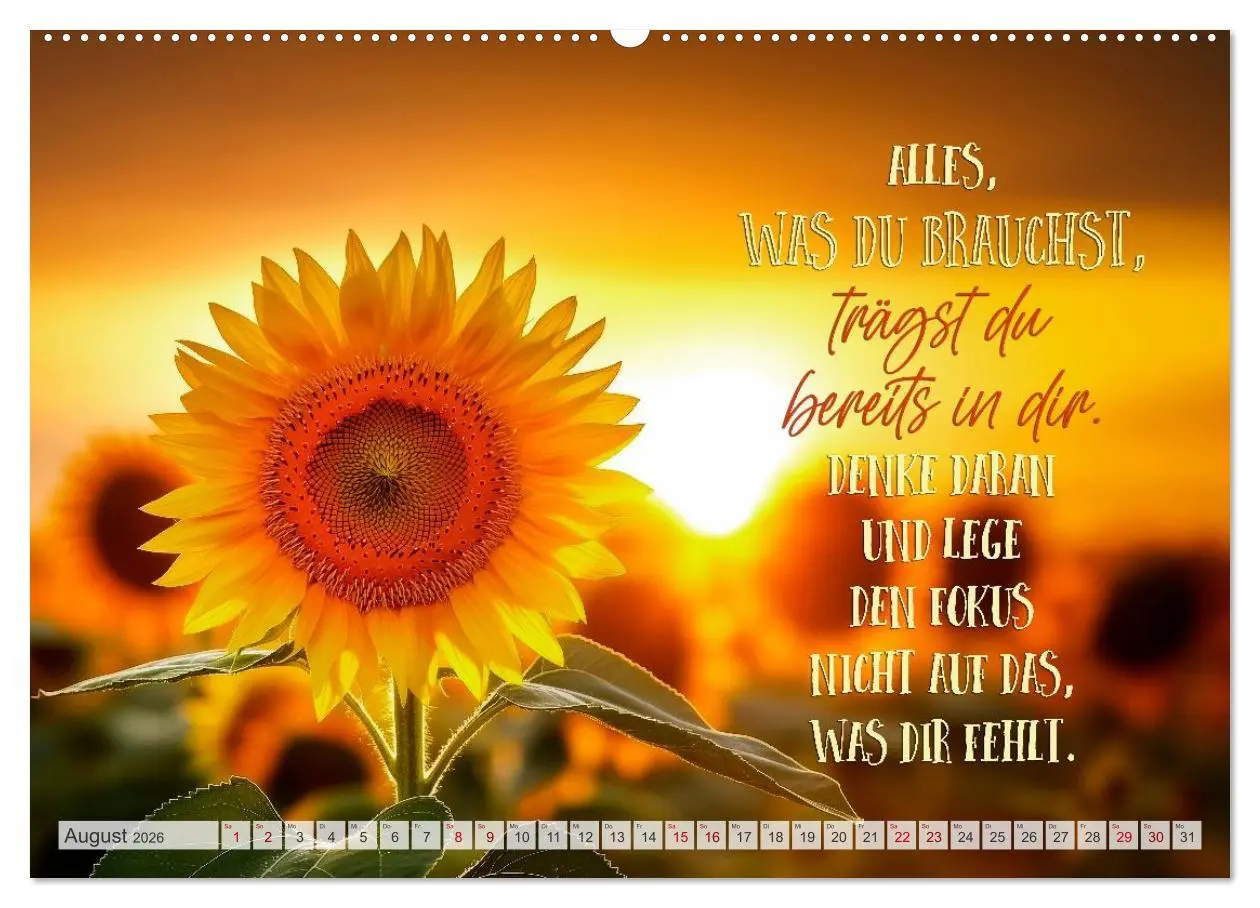 Bild: 9783516593686 | SEELENZEIT Ein Jahr voller Achtsamkeit (Wandkalender 2026 DIN A2...
