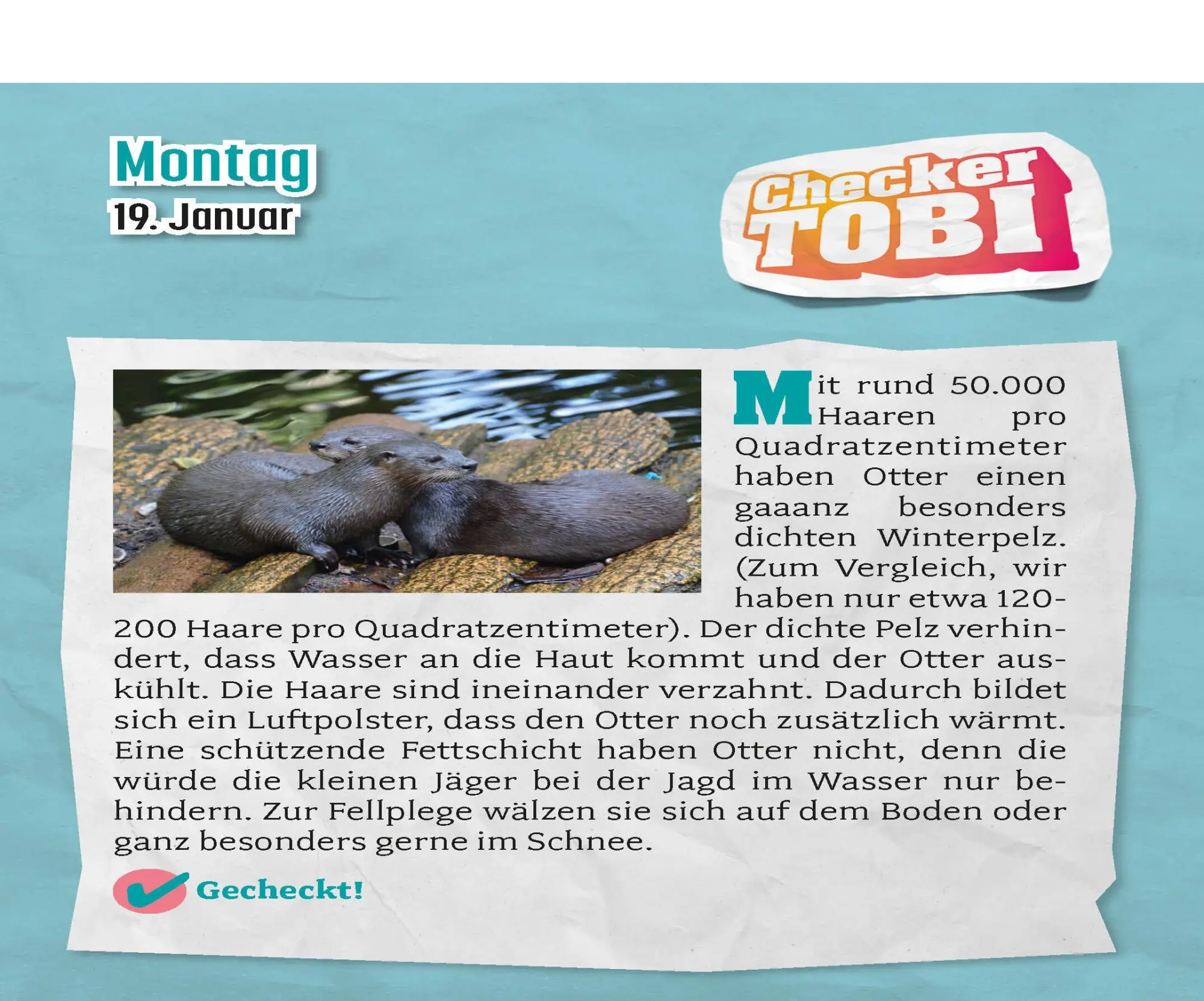 Bild: 9783517103686 | Checker Tobi 2026: Tagesabreißkalender mit über 300 spannenden...