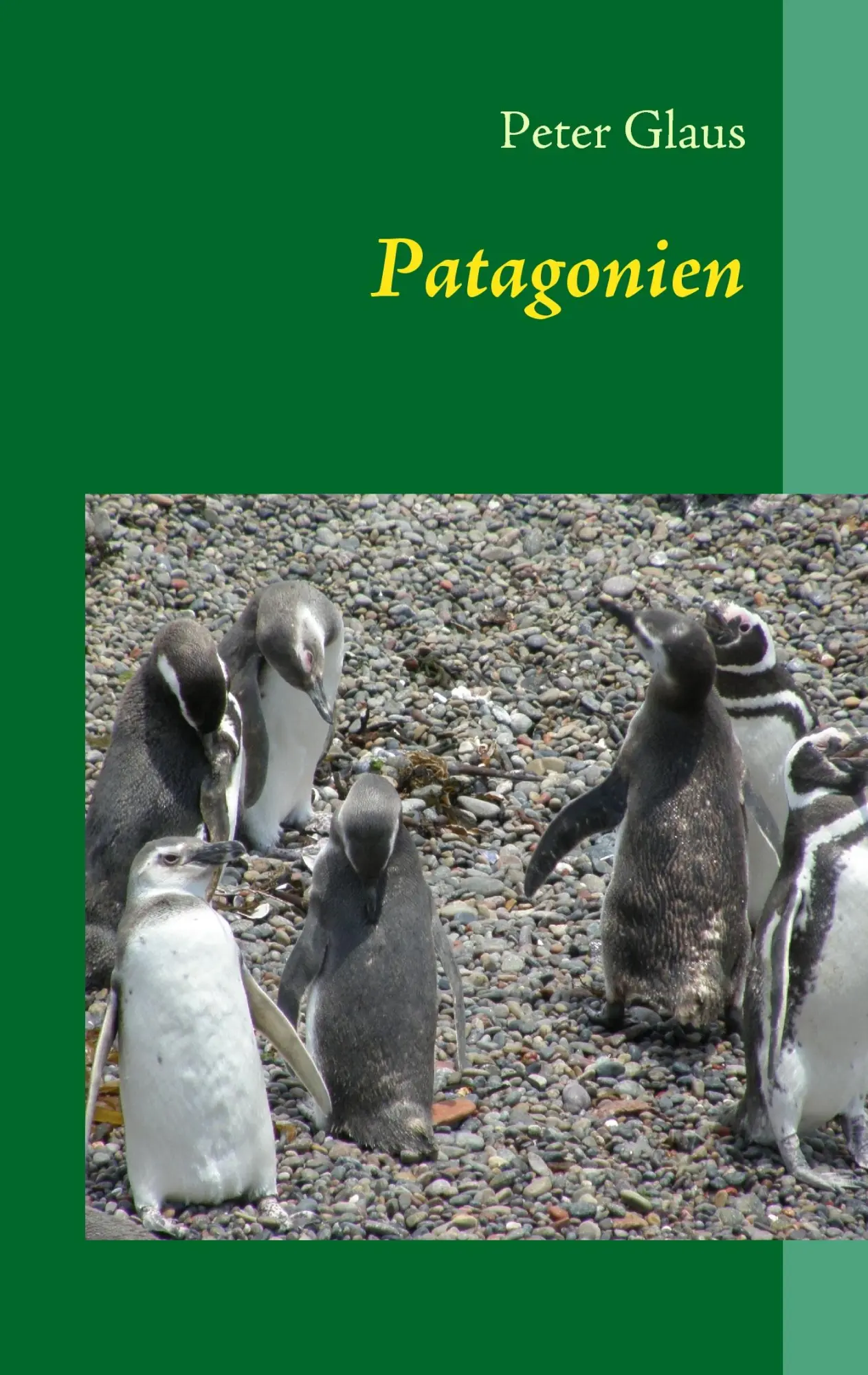 Cover: 9783837043686 | Patagonien | Argentinien &amp; Chile | Peter Glaus | Taschenbuch | 116 S.