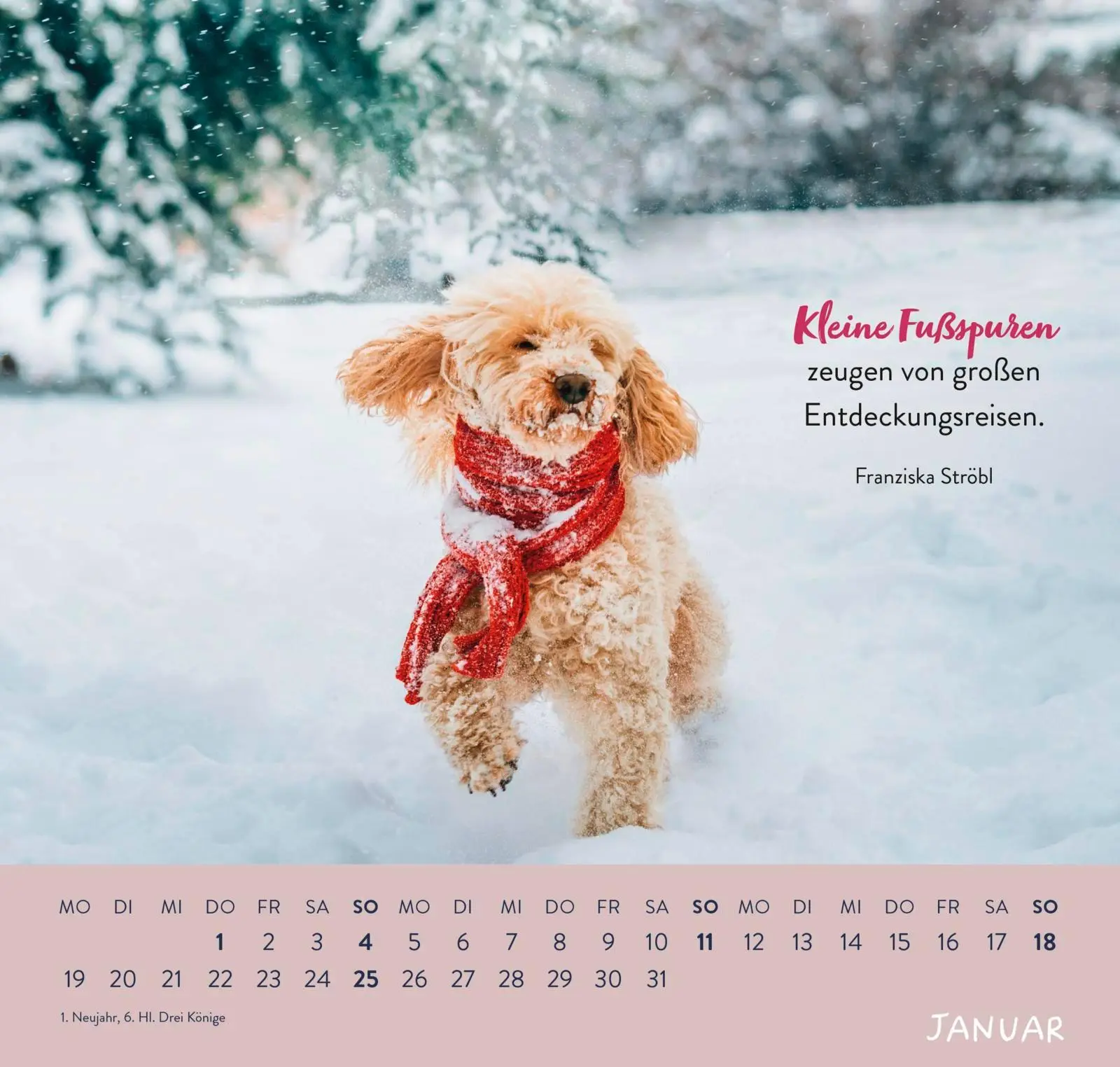 Bild: 4036442013786 | Wandkalender 2026: Für Hundefreunde | Groh Verlag | Kalender | 12 S.