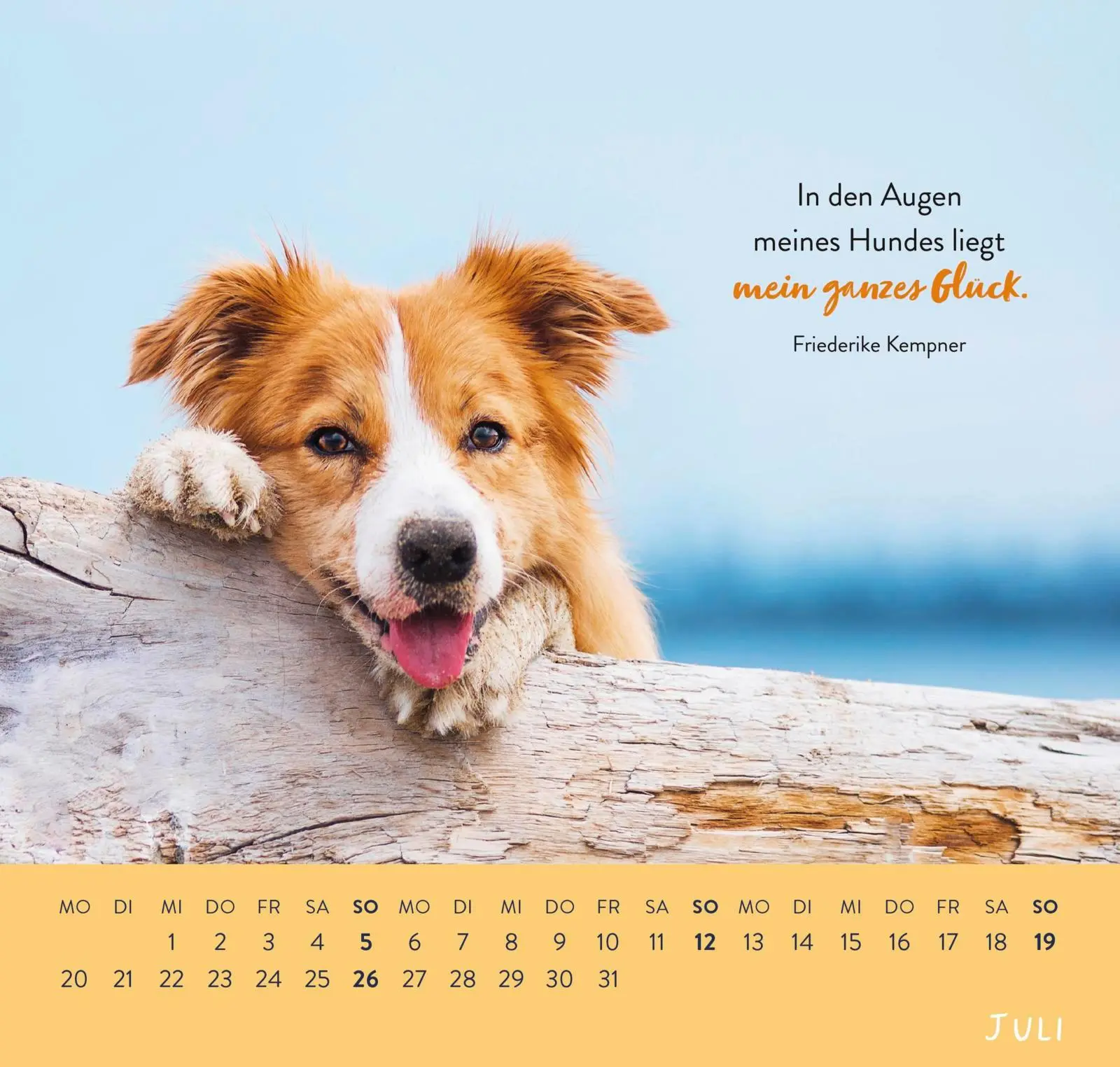 Bild: 4036442013786 | Wandkalender 2026: Für Hundefreunde | Groh Verlag | Kalender | 12 S.