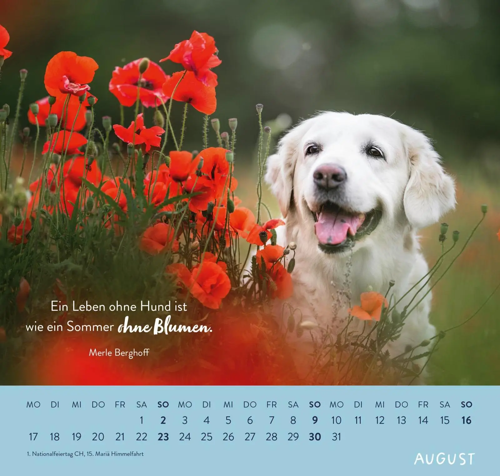Bild: 4036442013786 | Wandkalender 2026: Für Hundefreunde | Groh Verlag | Kalender | 12 S.