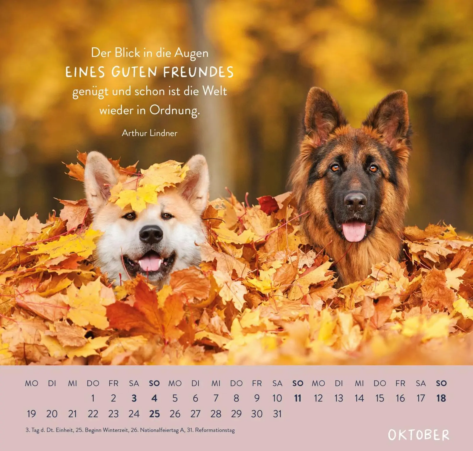 Bild: 4036442013786 | Wandkalender 2026: Für Hundefreunde | Groh Verlag | Kalender | 12 S.