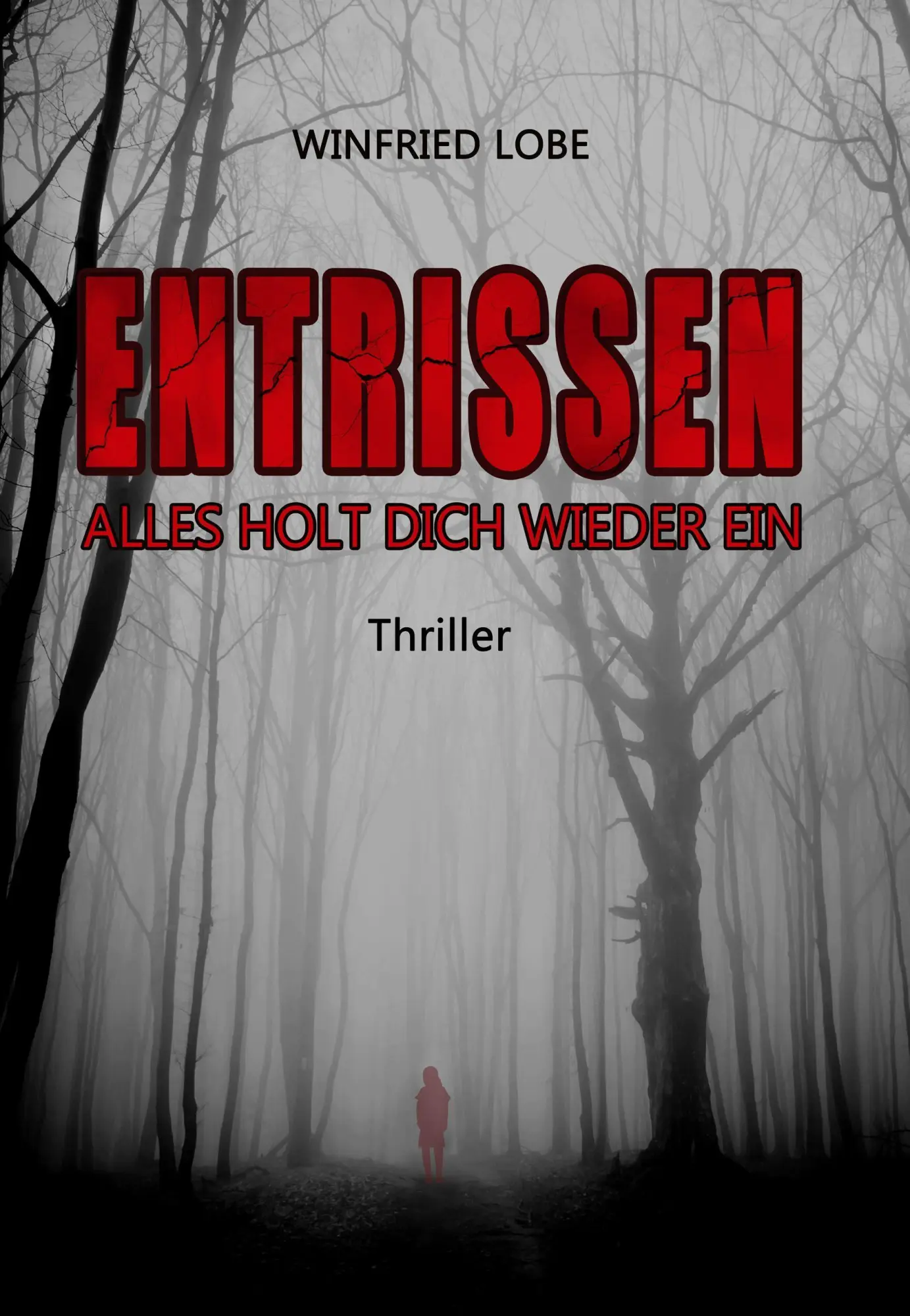 Cover: 9783038313786 | Entrissen! | Alles holt dich wieder ein | Winfried Lobe | Taschenbuch