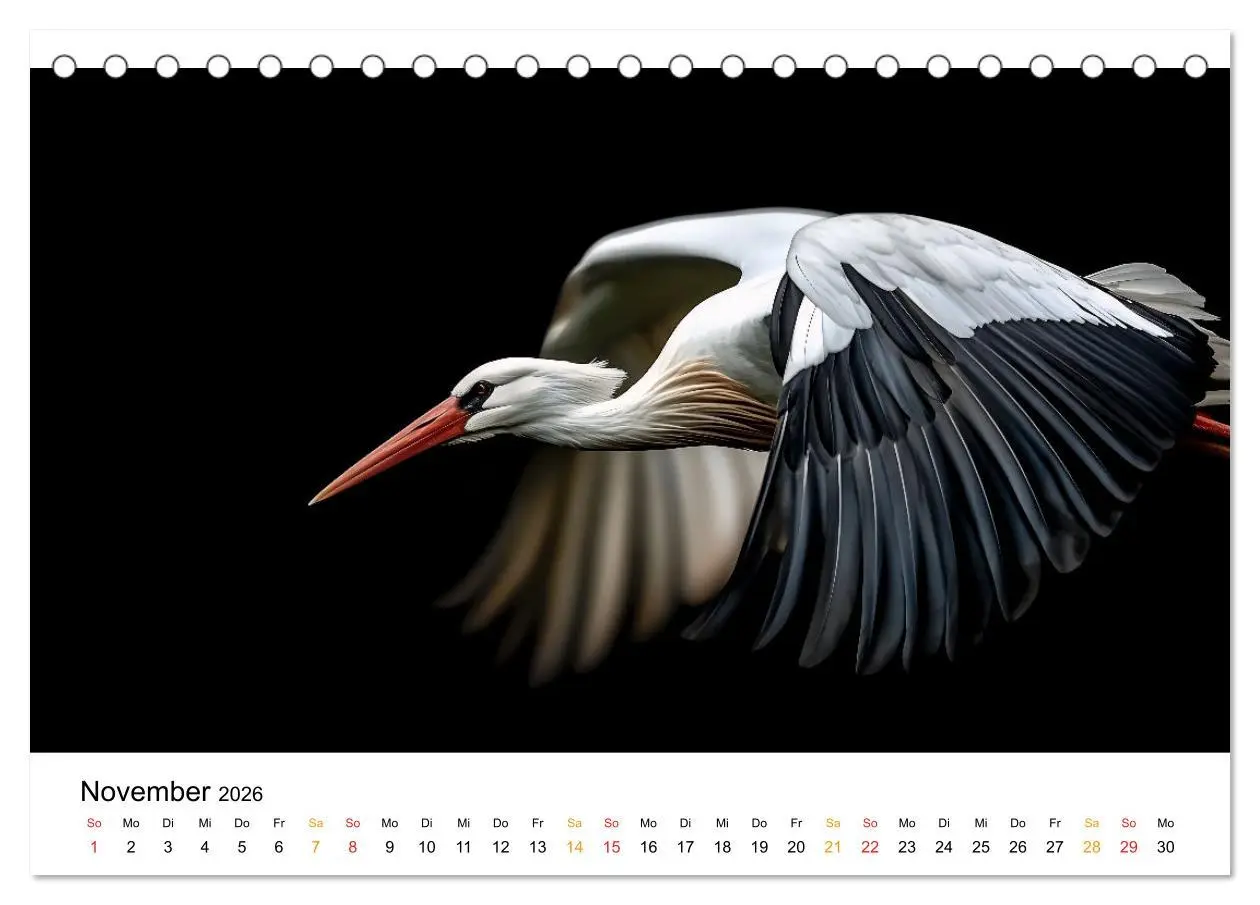Bild: 9783457323786 | Wilde Heimat - Vögel unserer Natur (Tischkalender 2026 DIN A5...