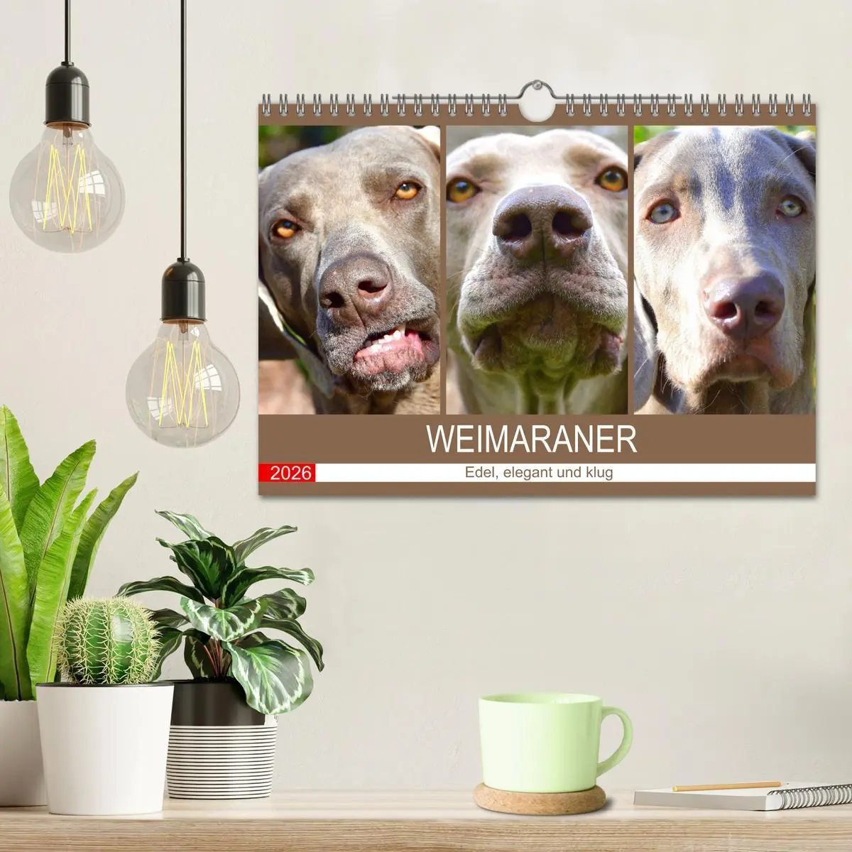 Bild: 9783457633786 | Weimaraner. Edel, elegant und klug (Wandkalender 2026 DIN A4 quer),...