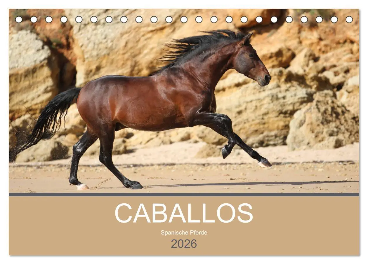 Cover: 9783516023886 | Caballos Spanische Pferde 2026 (Tischkalender 2026 DIN A5 quer),...