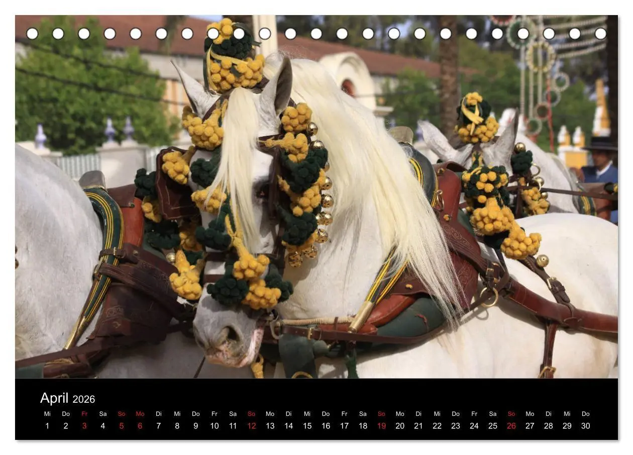 Bild: 9783516023886 | Caballos Spanische Pferde 2026 (Tischkalender 2026 DIN A5 quer),...