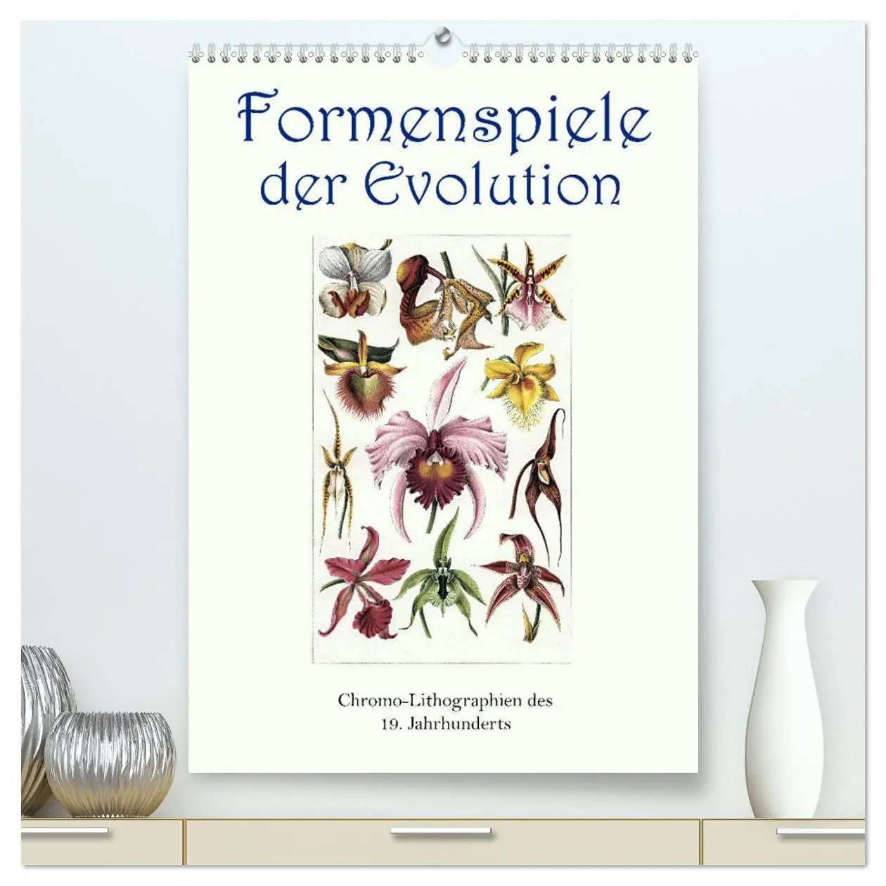 Cover: 9783516403886 | Formenspiele der Evolution. Chromolithographien des 19....