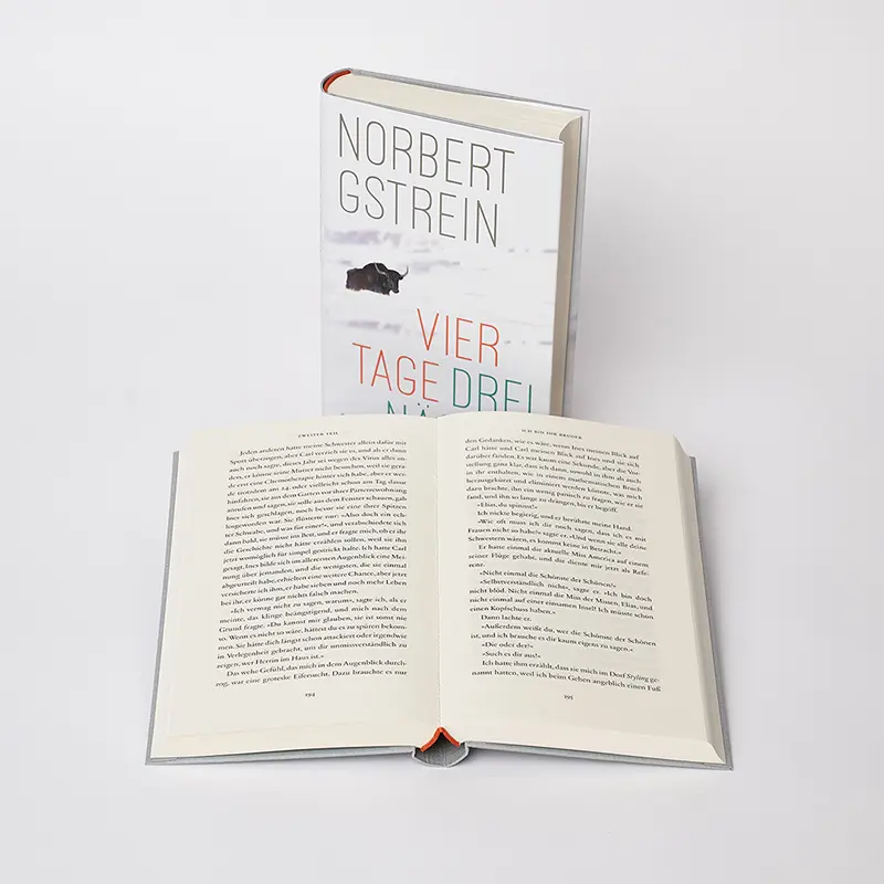 Bild: 9783446273986 | Vier Tage, drei Nächte | Roman | Norbert Gstrein | Buch | 352 S.
