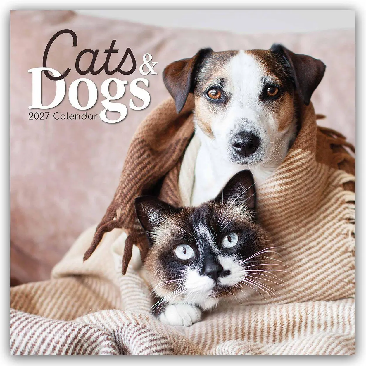 Cover: 9781805974086 | Cats and Dogs - Katzen und Hunde 2027 - 16-Monatskalender | Ltd | 2027