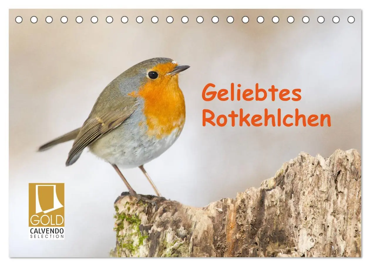 Cover: 9783457674086 | Geliebtes Rotkehlchen (Tischkalender 2026 DIN A5 quer), CALVENDO...