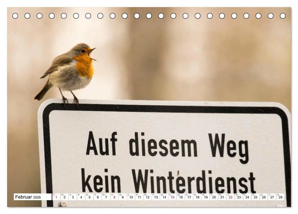 Bild: 9783457674086 | Geliebtes Rotkehlchen (Tischkalender 2026 DIN A5 quer), CALVENDO...
