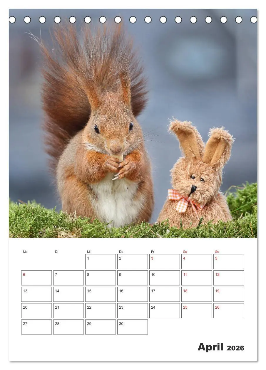 Bild: 9783516384086 | Eichhörnchen Luna (Tischkalender 2026 DIN A5 hoch), CALVENDO...