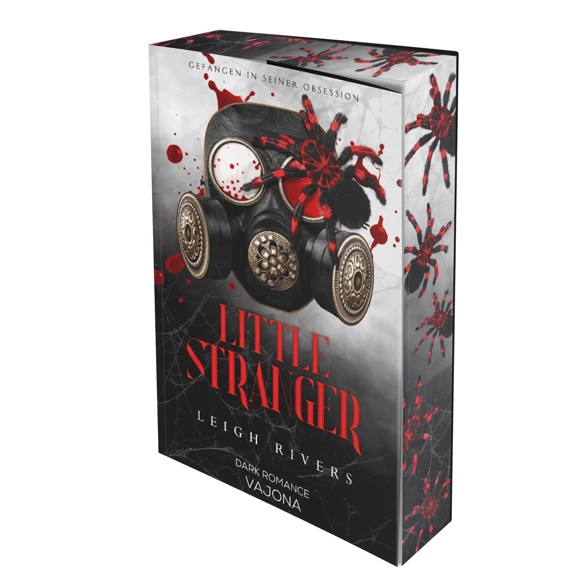Cover: 9783987184086 | Little Stranger | DARK ROMANCE Farbschnitt | Leigh Rivers | Buch