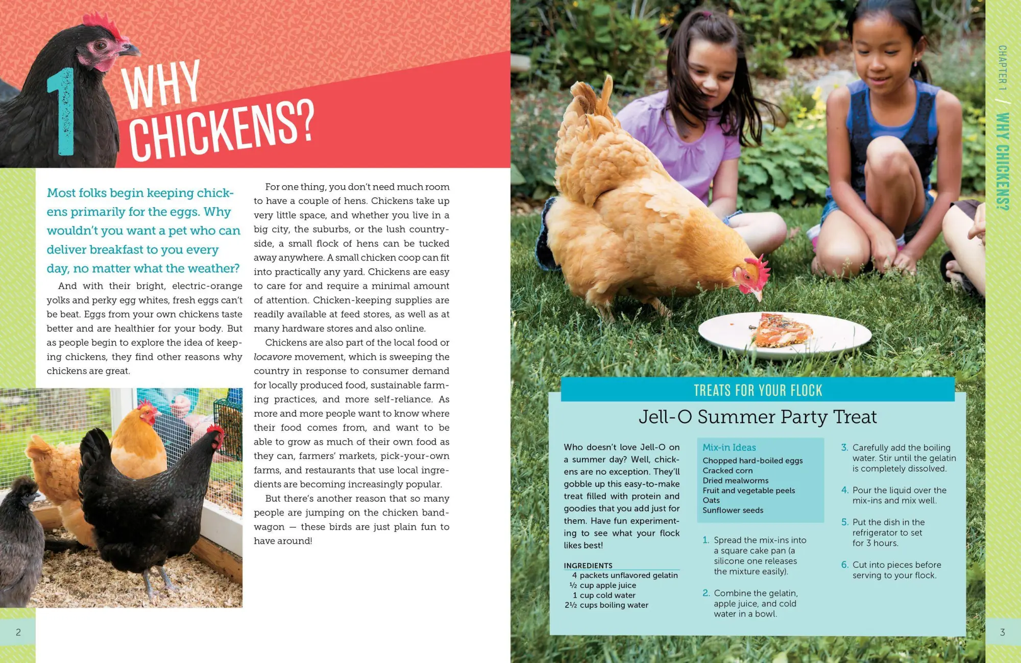 Bild: 9781612124186 | A Kid's Guide to Keeping Chickens | Melissa Caughey | Taschenbuch