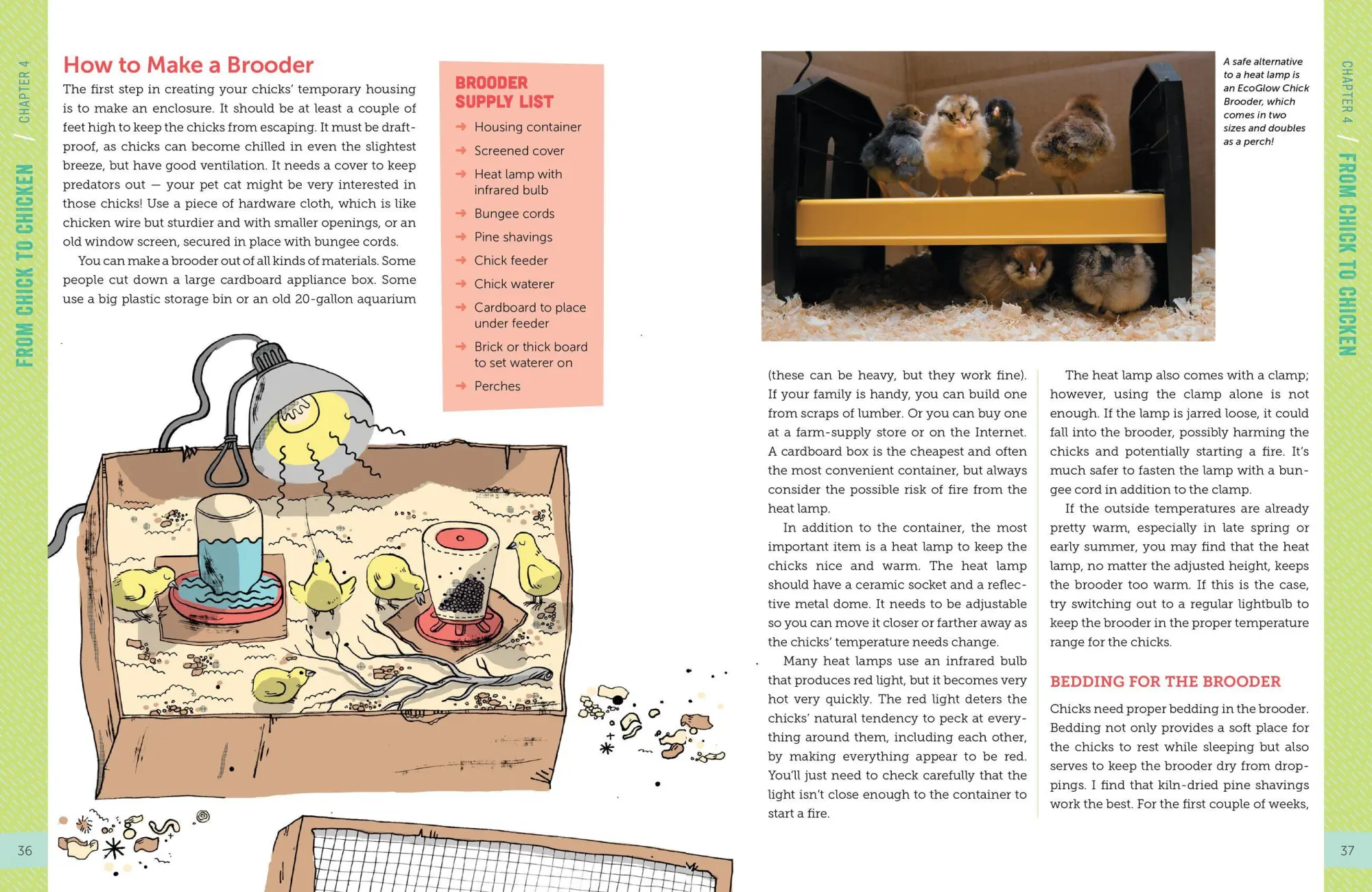 Bild: 9781612124186 | A Kid's Guide to Keeping Chickens | Melissa Caughey | Taschenbuch