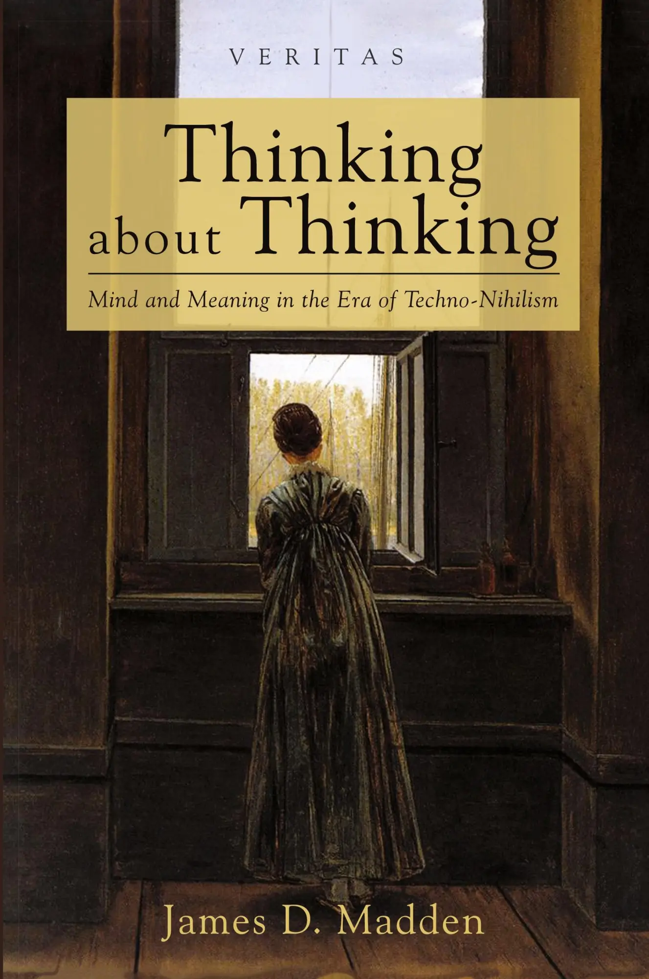 Cover: 9781666754186 | Thinking about Thinking | James D. Madden | Taschenbuch | Englisch