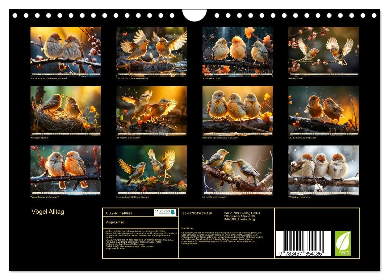Bild: 9783457354186 | Vögel Alltag (Wandkalender 2026 DIN A4 quer), CALVENDO Monatskalender