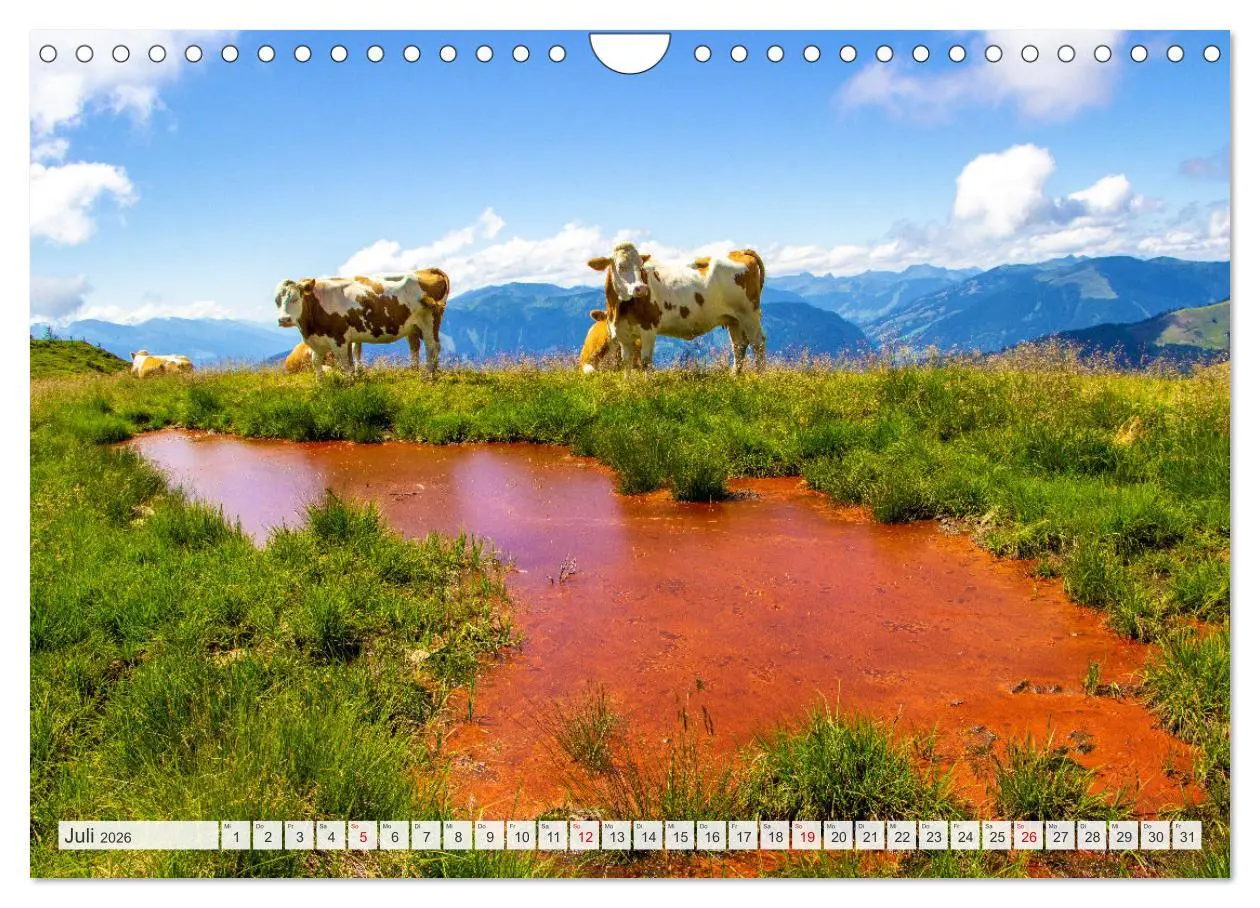 Bild: 9783457344286 | Maria Alm - Hinterthal - Hintermoos (Wandkalender 2026 DIN A4...