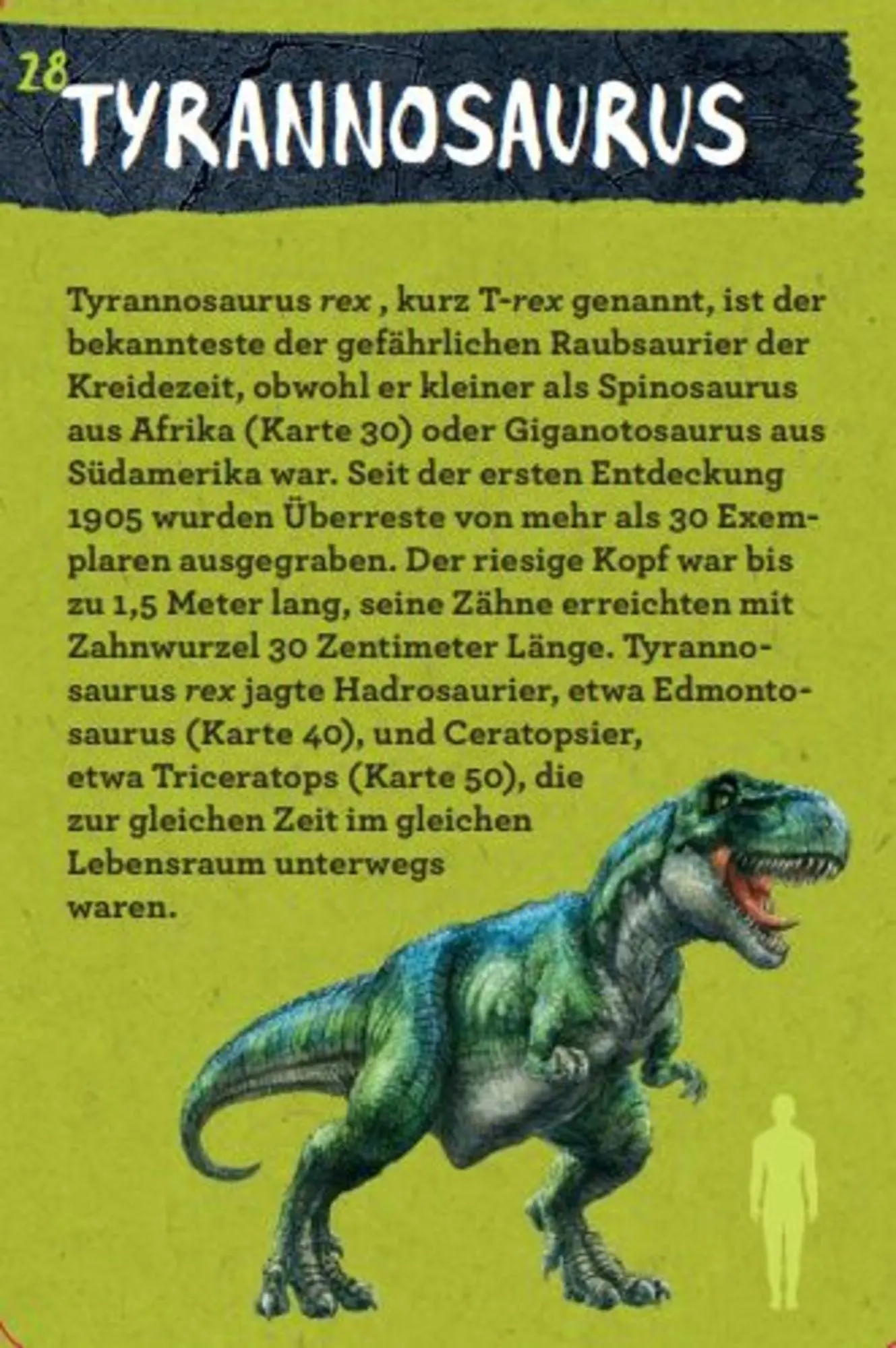 Bild: 9783649644286 | 50 Dinosaurier | Barbara Wernsing | Lehr-, Lern-, Bildkarten | Deutsch