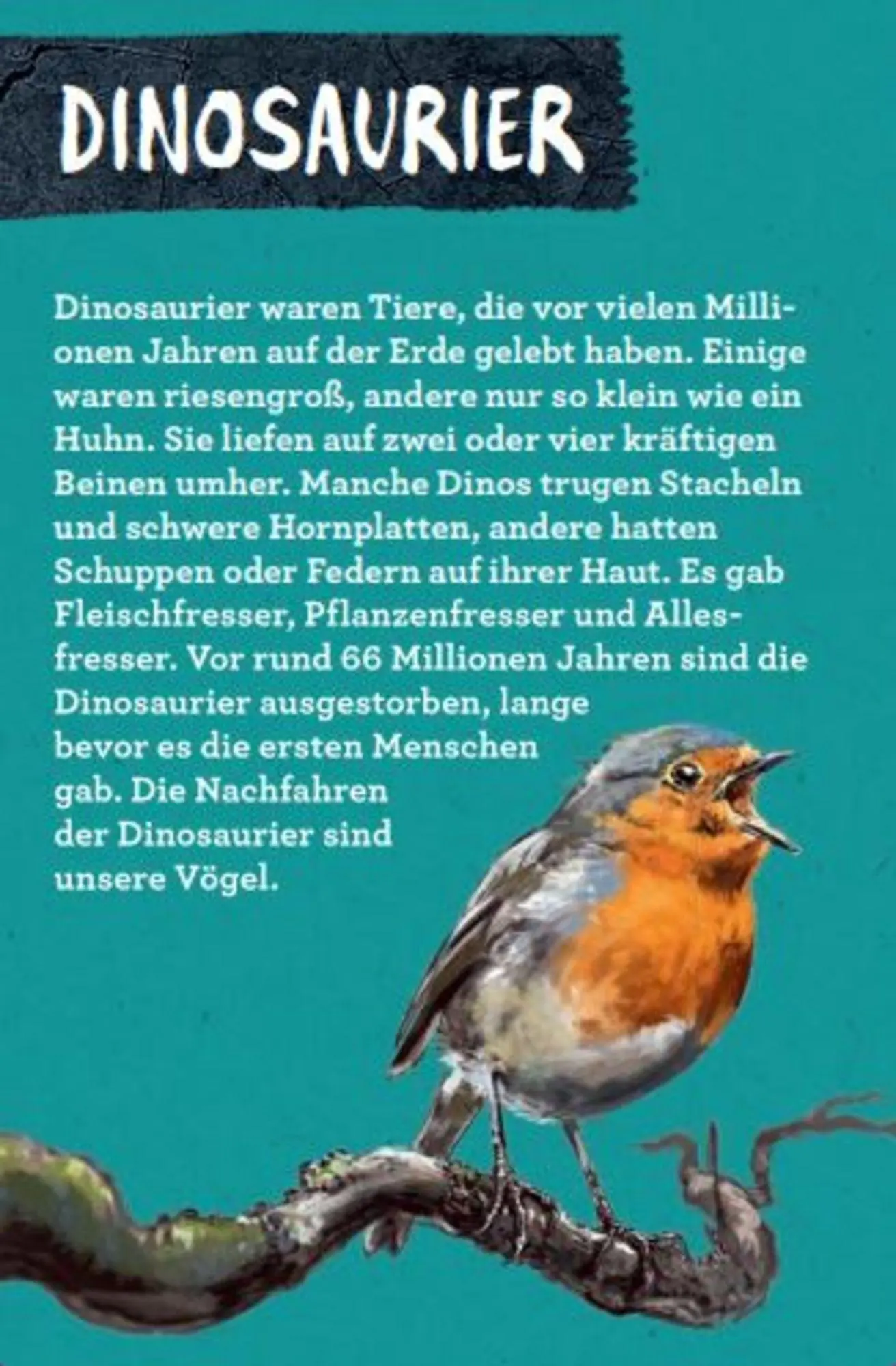 Bild: 9783649644286 | 50 Dinosaurier | Barbara Wernsing | Lehr-, Lern-, Bildkarten | Deutsch