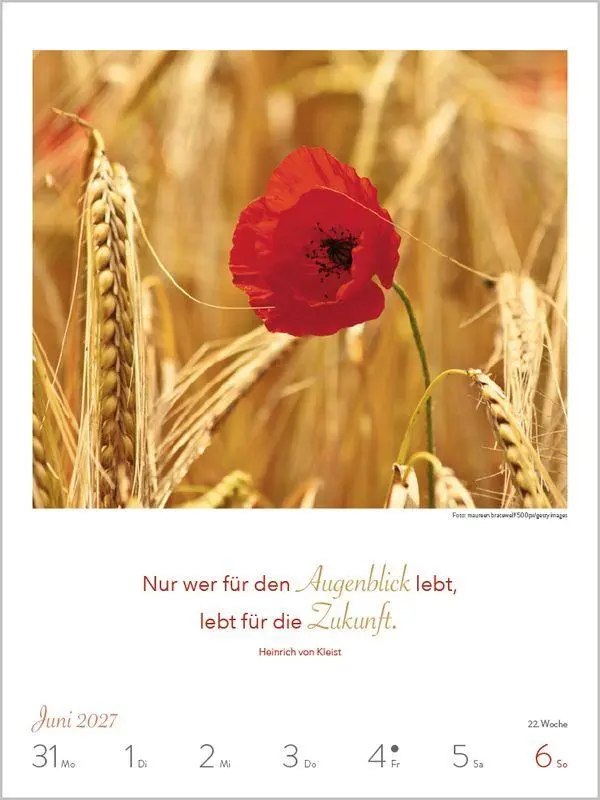 Bild: 9783819304286 | Literaturkalender Lebensweisheiten 2027 | Korsch Verlag | Kalender