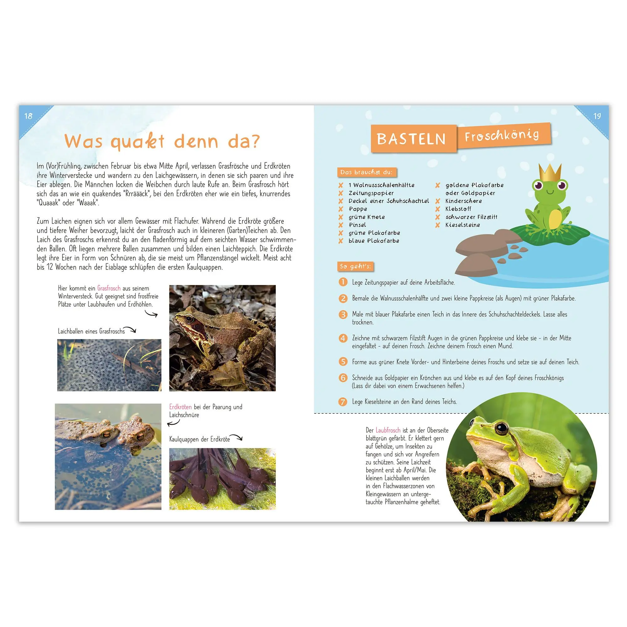 Bild: 9783963474286 | Activity Heft: Wasser Marsch - Heimische Gewässer entdecken | 48 S.