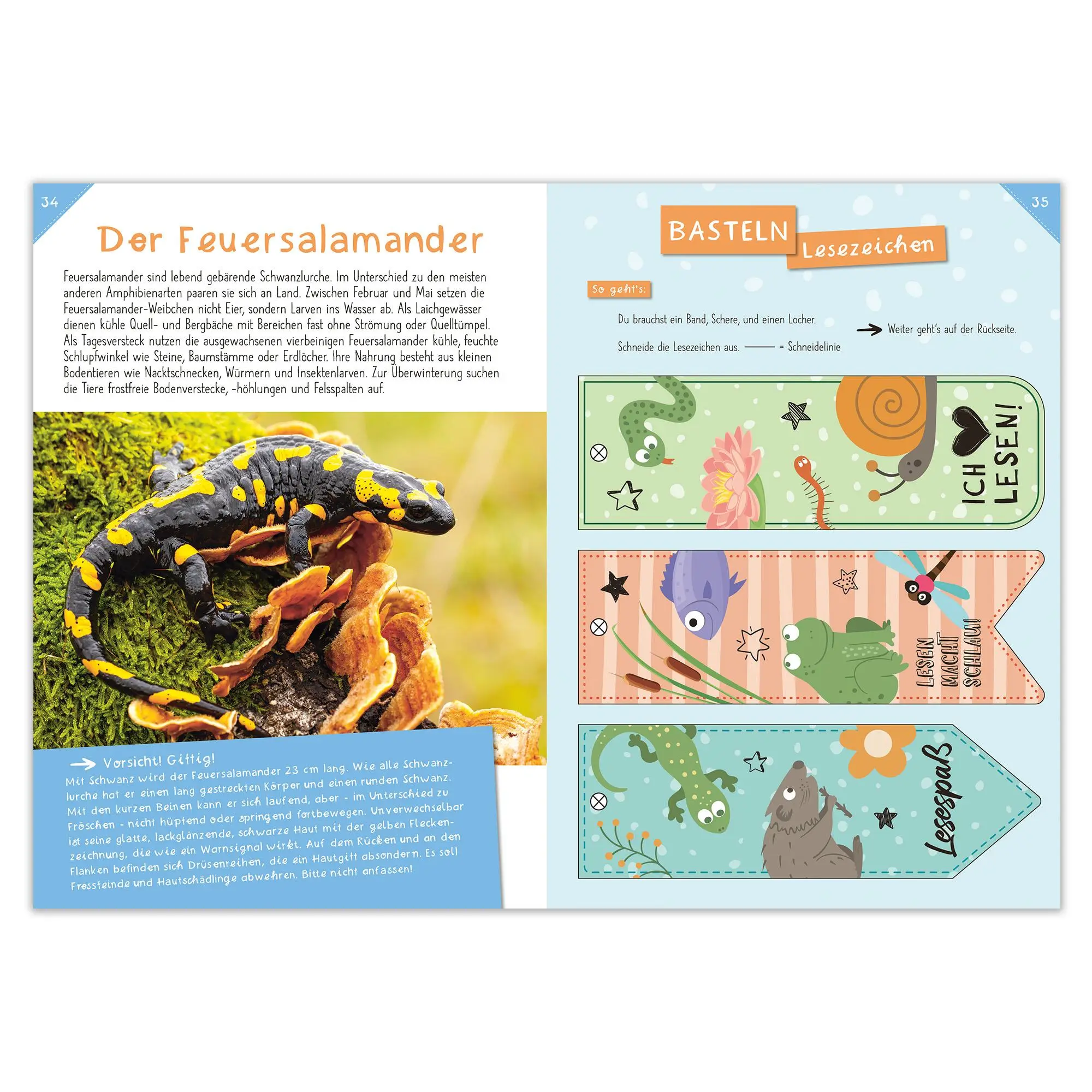 Bild: 9783963474286 | Activity Heft: Wasser Marsch - Heimische Gewässer entdecken | 48 S.