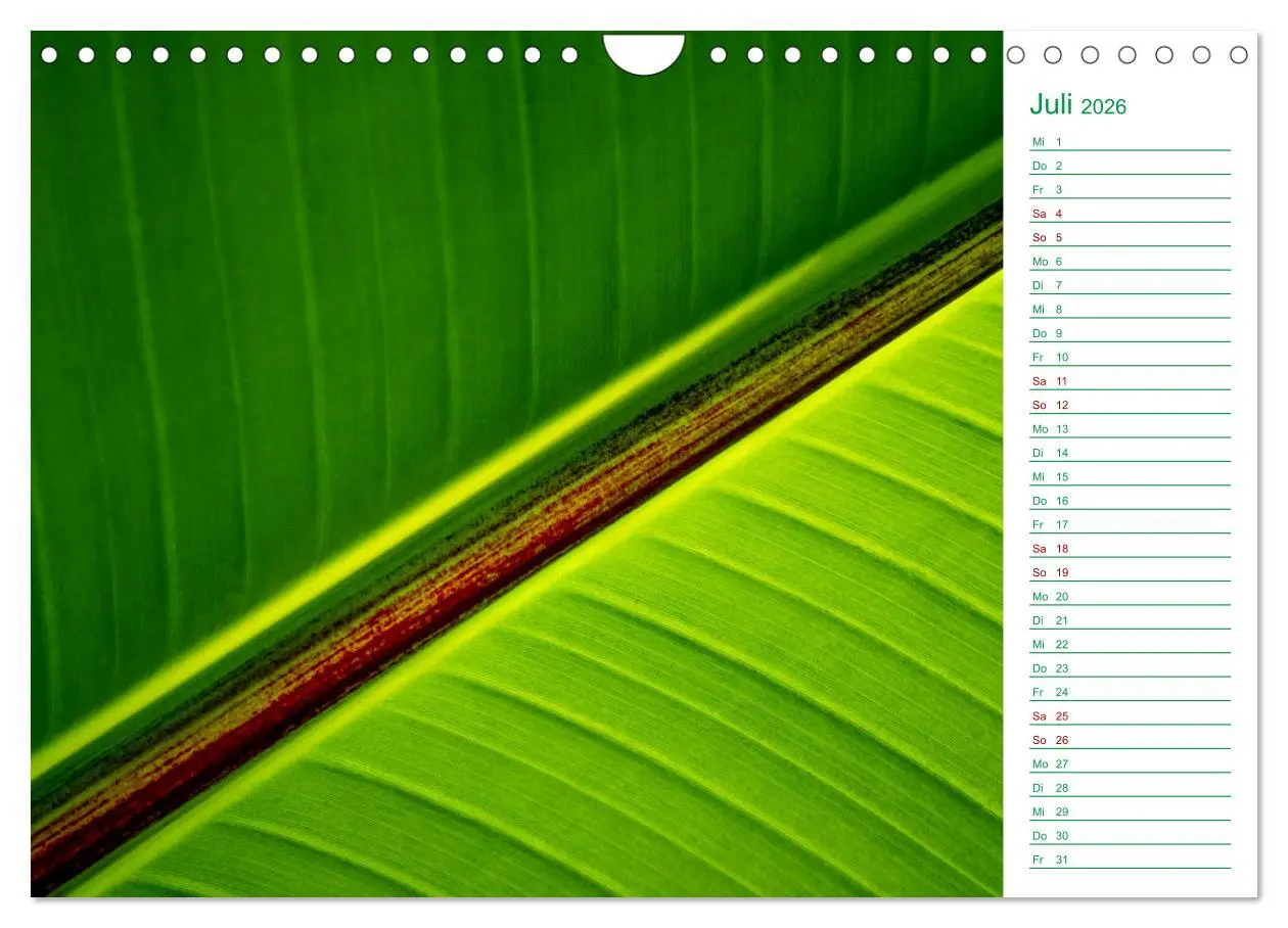 Bild: 9783457644386 | Grün Makrofotografien aus der grünen Welt der Pflanzen als...